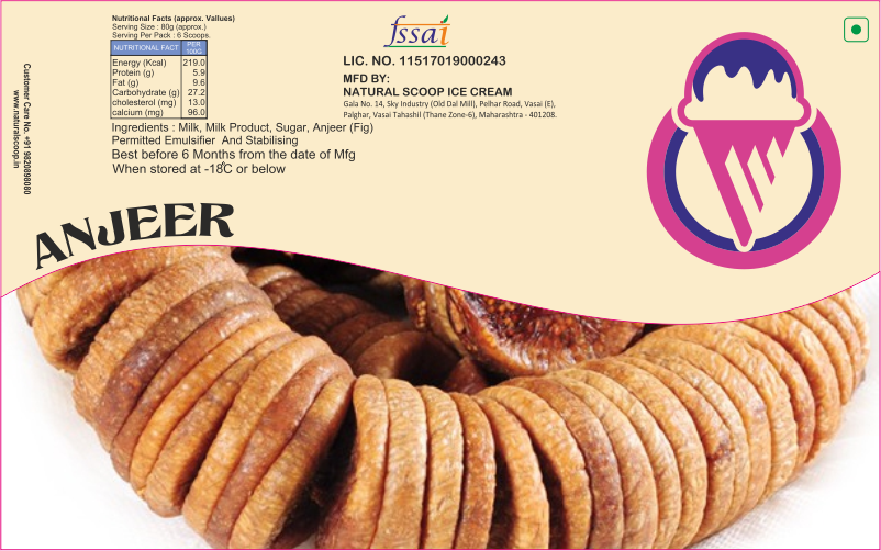 Anjeer Flavor Ice Cream