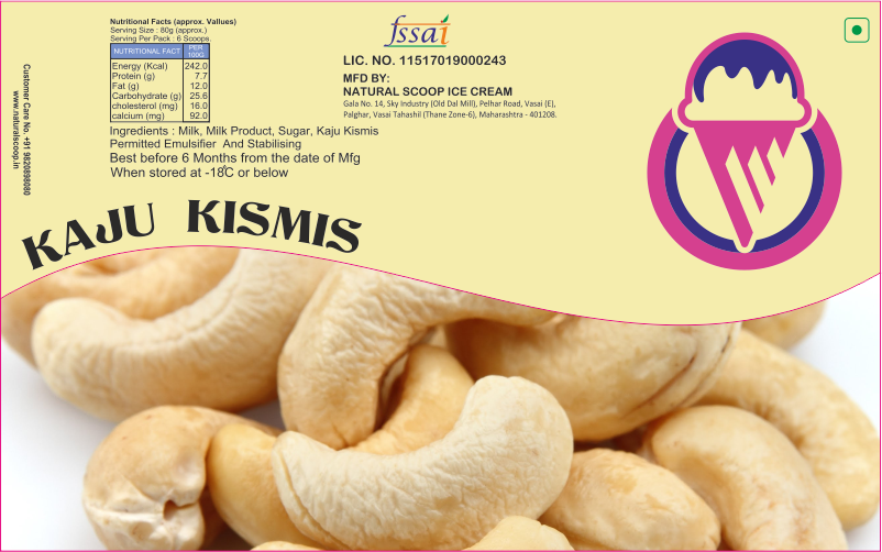 Kaju Kismis Flavor Ice Cream