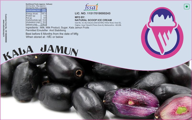 Kala Jamun Ice Cream