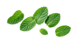 Fresh green leaves